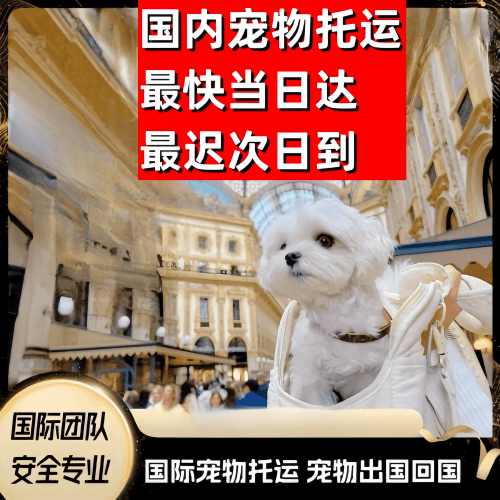 那曲地区到澳大利亚（澳洲）宠物入境规定和要求